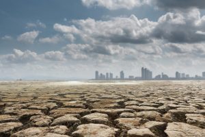 probate process in California