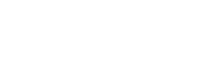 Schomer Estate and Wealth Advisors Footer Logo