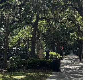 Spring Summit 2025 Reflecting Refueling and Reimagining in Savannah