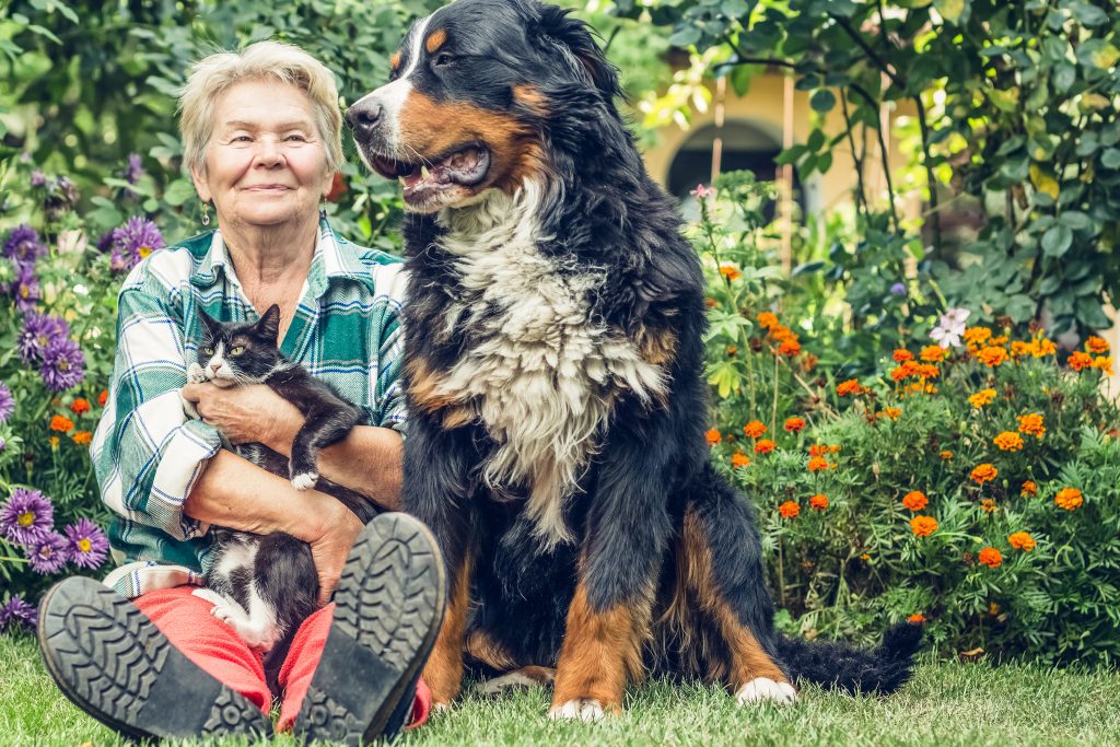 Pet California estate plan